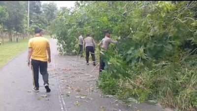 Respons Cepat Polsek Singkep Barat Bersihkan Material Pohon Tumbang