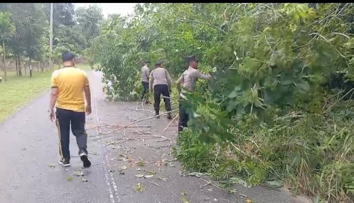 Respons Cepat Polsek Singkep Barat Bersihkan Material Pohon Tumbang