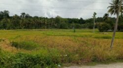 Warga Minta Pembangunan Irigasi Lawe Harum Dirampungkan