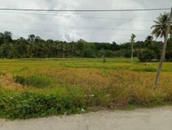 Warga Minta Pembangunan Irigasi Lawe Harum Dirampungkan