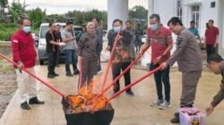 Kejari Seluma Musnahkan Barang Bukti 17 Perkara Inkrah, Didominasi Narkotika dan Pil Samcodin