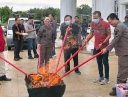Kejari Seluma Musnahkan Barang Bukti 17 Perkara Inkrah, Didominasi Narkotika dan Pil Samcodin