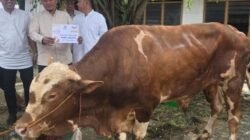 Salurkan 800 Kantong Daging Kurban, Ketua DPRD Sumsel Andie Dinialdie: Ini Bentuk Kepedulian Golkar Bagi Masyarakat