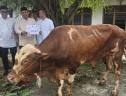 Salurkan 800 Kantong Daging Kurban, Ketua DPRD Sumsel Andie Dinialdie: Ini Bentuk Kepedulian Golkar Bagi Masyarakat
