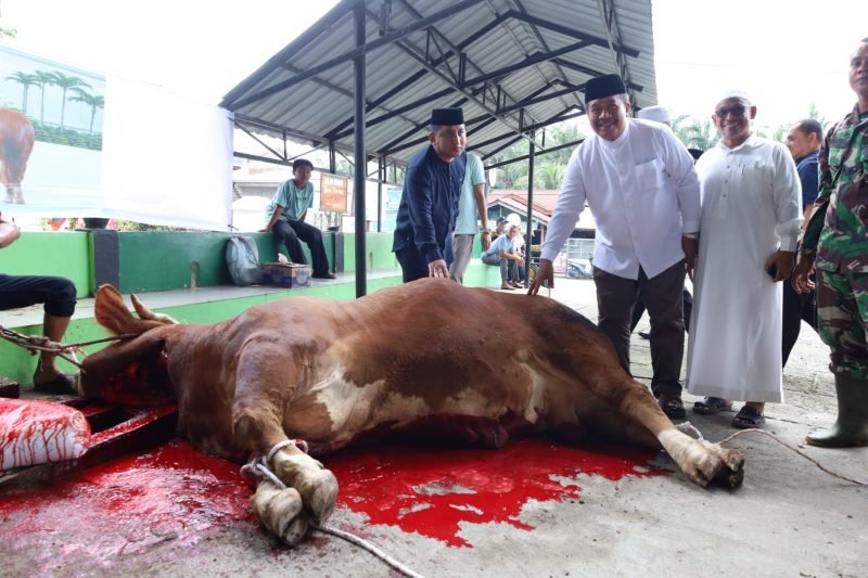 Bupati Asahan Saksikan Penyembelihan Sapi Bantuan Kemasyarakatan Presiden di Air Batu