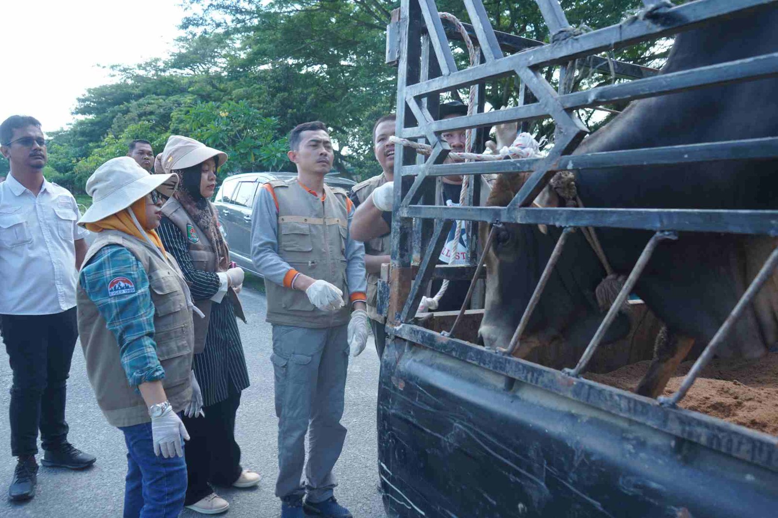 Pastikan Hewan Layak dan Sehat, Pemkab Asahan Gelar Pemeriksaan Kesehatan Hewan Qurban