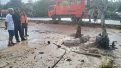 Kepala BPBD Lingga Tinjau Lokasi Penangkapan Buaya 3,6 Meter di Panggak Laut