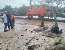 Kepala BPBD Lingga Tinjau Lokasi Penangkapan Buaya 3,6 Meter di Panggak Laut