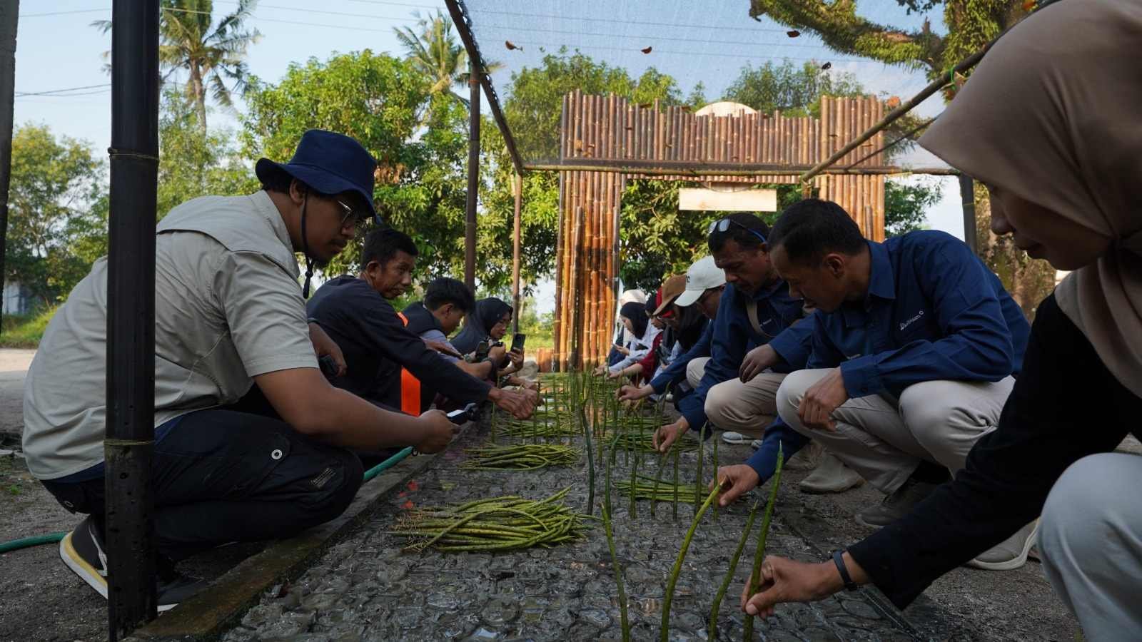 PTBA Resmikan NUSA di Pasir Sakti, Perkuat Rehabilitasi Mangrove Berbasis Masyarakat