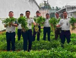 Panen Kangkung Capai 72,2 Kilogram, Rutan Kelas I Palembang Perkuat Program Ketahanan Pangan Nasional