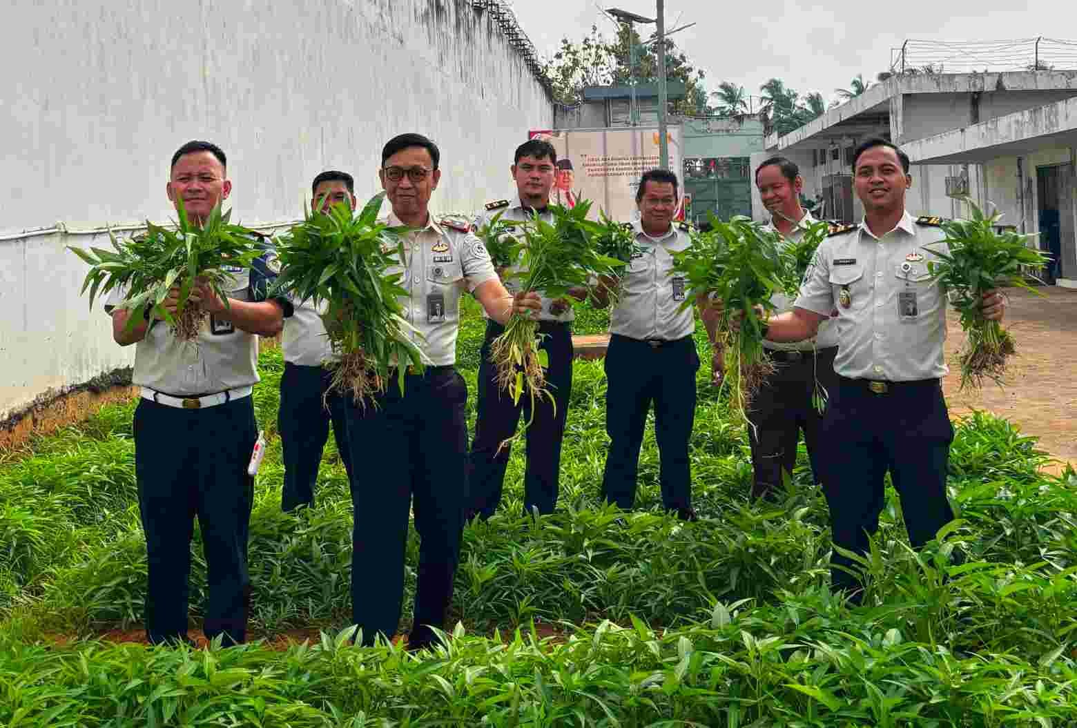 Rutan Kelas I Palembang Panen Kangkung Capai 72,2 Kilogram