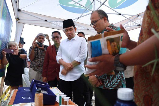 Pemkab Jember Resmikan Inkubator Agribisnis UKRI, Dorong Hilirisasi Jagung dan Penguatan UMKM