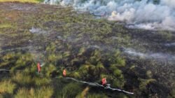 Personel Manggala Agni berjibaku padamkan api di lahan gambut yang terbakar. Foto: Manggala Agni.
