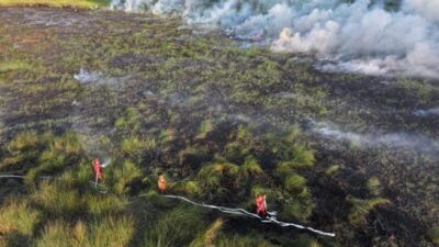 Personel Manggala Agni berjibaku padamkan api di lahan gambut yang terbakar. Foto: Manggala Agni.