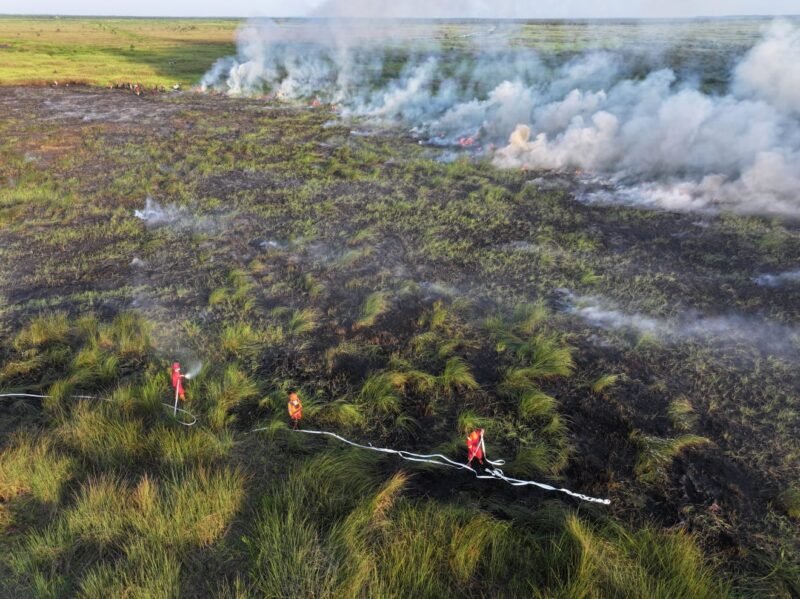 Personel Manggala Agni berjibaku padamkan api di lahan gambut yang terbakar. Foto: Manggala Agni.