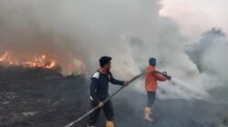 Karhutbunla Kembali Terjadi di Muba, Tiga Hektar Lahan Hangus Dilalap si Jago Merah