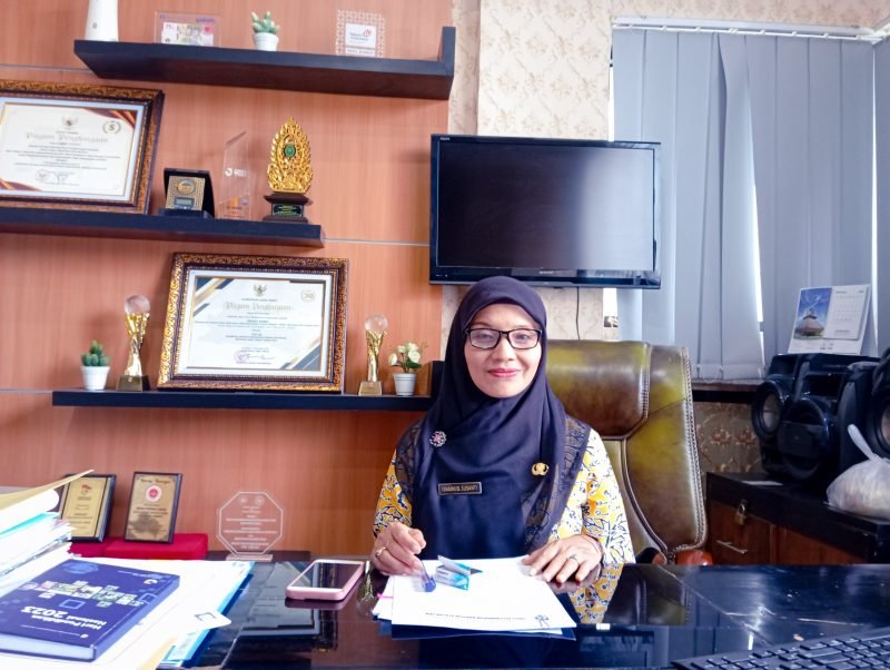 Kepala Dinas Penanaman Modal dan Pelayanan Terpadu Satu Pintu (DPMPTSP) Jember, Isnaini Dwi Susanti,