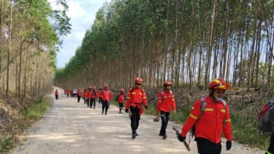 Kolaborasi Multipihak Bantu Tangani Kebakaran Kebun Warga di Desa Kaliberau