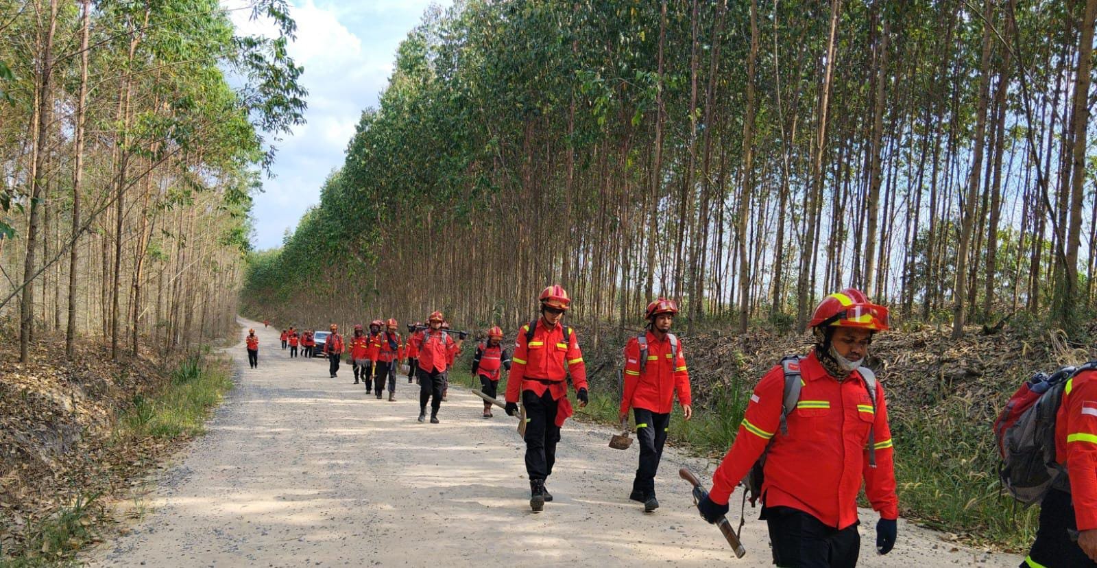 Kolaborasi Multipihak Bantu Tangani Kebakaran Kebun Warga di Desa Kaliberau