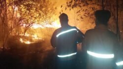 2 Hari Beruntun, 11,5 Hektare Lahan di Muba Ludes Terbakar Dekat Pemukiman