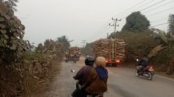 Jalan Hancur Di Rambutan Banyuasin Ancam Nyawa, Warga Desak Pemkab Bertindak: Jangan Tunggu Ada Korban!