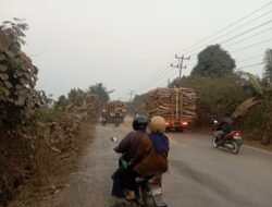 Jalan Hancur Di Rambutan Banyuasin Ancam Nyawa, Warga Desak Pemkab Bertindak: Jangan Tunggu Ada Korban!