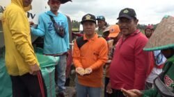 Harga Gabah Tembus Rp14 Ribu, Beras Premium Langka di Sumsel, Ketua KTNA Sebut Petani Tanam Padi Tapi Beli Beras
