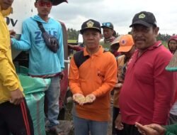 Harga Gabah Tembus Rp14 Ribu, Beras Premium Langka di Sumsel, Ketua KTNA Sebut Petani Tanam Padi Tapi Beli Beras