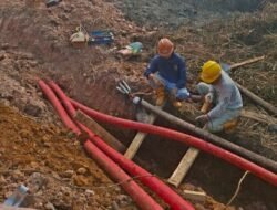Cegah Karhutla Meluas ke Jaringan Listrik, PLN UP3 Palembang Pulihkan Infrastruktur di Tanjung Api-Api