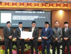 Sejak 2014 Baru Sah! Palembang Akhirnya Punya Payung Hukum Pemajuan Kesenian