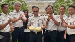 Melalui Sarana Asimilasi dan Edukasi (SAE), jajaran Rutan Palembang sukses melakukan panen melon, Senin (28/9/2026).