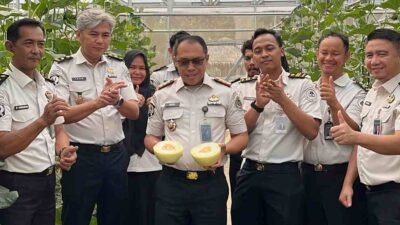 Melalui Sarana Asimilasi dan Edukasi (SAE), jajaran Rutan Palembang sukses melakukan panen melon, Senin (28/9/2026).
