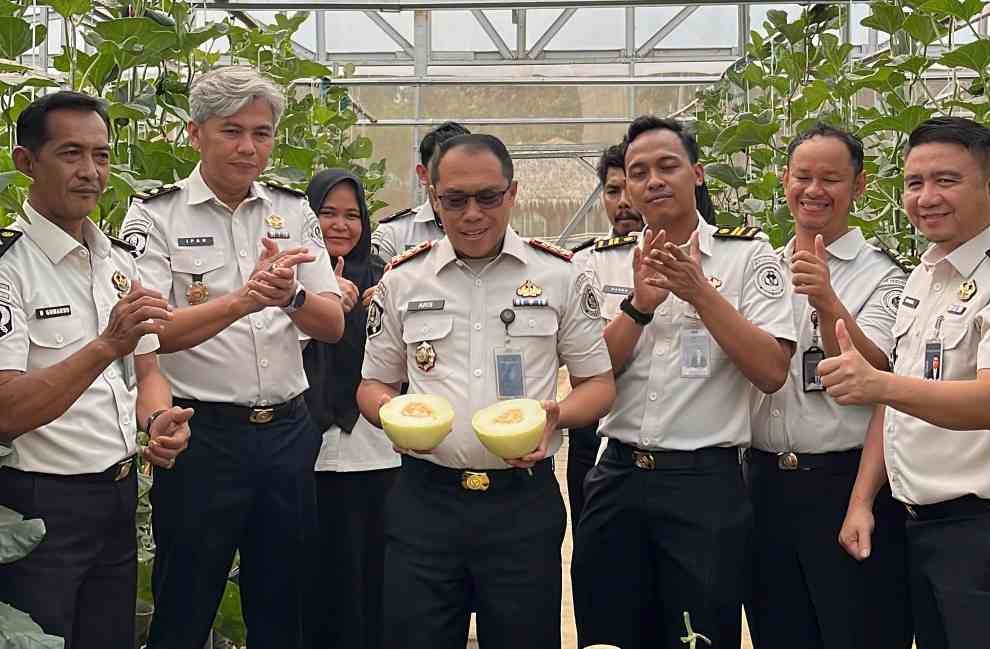 Melalui Sarana Asimilasi dan Edukasi (SAE), jajaran Rutan Palembang sukses melakukan panen melon, Senin (28/9/2026).