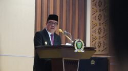Wakil Gubernur Sumsel H. Cik Ujang