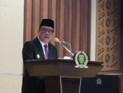 Wagub Cik Ujang Jawab Sorotan Golkar Soal Karhutla: Api Kecil Wajib Padam Sebelum Membesar