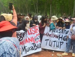 Kisruh HGU Belum Kelar, Warga Desa Mainan Kembali Kepung PT Melania Indonesia, Tuntut Stop Operasi