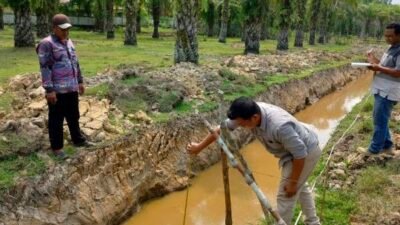 Manfaatkan Dana Desa, Pemdes Pasar Talo Bangun Infrastruktur Siring Pembuangan Air