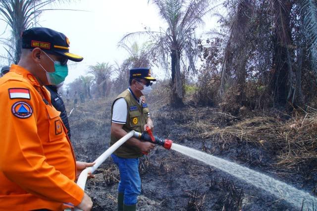 Bupati Muba, Toha Tohet Turun Langsung Padamkan Karhutla di Muara Medak